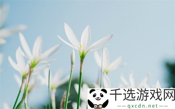 室友各个猛如虎by梦见好多鱼：搞笑室友日常的完美诠释