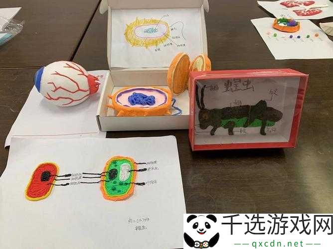 我成了生物课的教具篇1：探索奇妙教具之旅